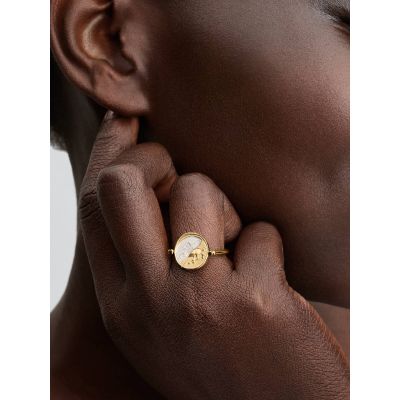 Pandora Me Ring Wendbar Pegasus 14 Karat Vergoldet 164812C01