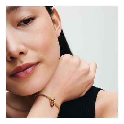 Pandora Charm-Anhänger Roter Ewigkeitskreis Januar Vergoldet 763462C01