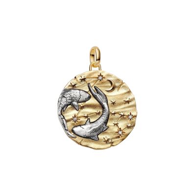 Pandora Me Medaillon-Charm Groß Fische 14 Karat Vergoldet 765005C01