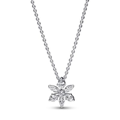 Pandora 392387C01 Halskette Anhänger Damen Funkelnde Herbarium Cluster Silber