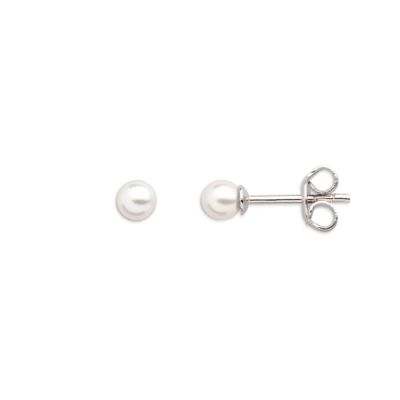 Xenox XS3511N Ohrringe Ohrstecker Damen Perl Dreams Silber Weiss Ø 4 mm