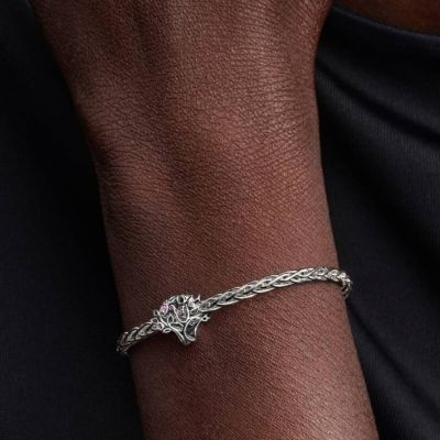 Pandora Charm Familienstammbaum Zirkonia Sterling-Silber 794486C01