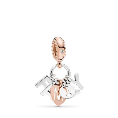 Pandora Rose 787785CZ Charm-Anhänger Perfect Family Silber