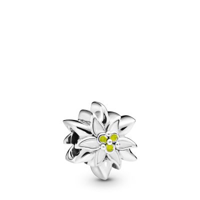 Pandora 	798243ENMX Charm Edelsweiss Flower Sterling-Silber