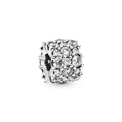 Pandora 798487C01 Charm Damen Klares Funkeln Sterling-Silber