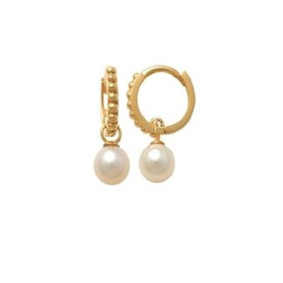 Xenox Creolen Damen Fine Charm Süßwasserperle 375 Gelbgold XG9K6055G