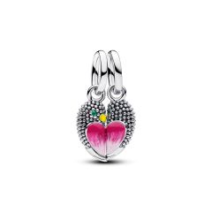 Pandora Charm-Anh&auml;nger Turteltauben Teilbar Sterling-Silber 794484C01