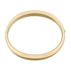 Fossil Armreif Ellis Domed Collection Edelstahl Gold-Ton JF0500710