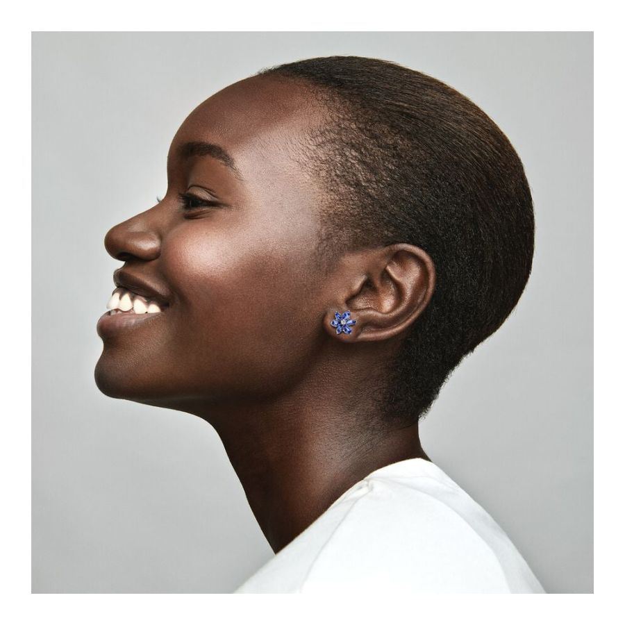 Pandora 292407C01 Ohrringe Ohrstecker Funkelnde Blaue Herbarium  